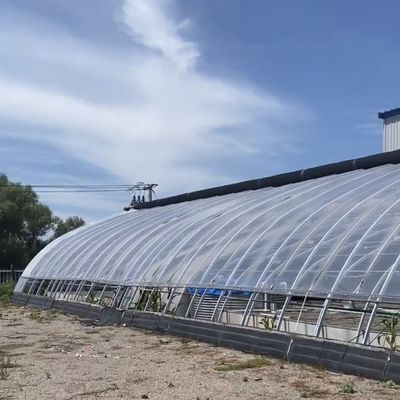 Sistema de cultivo hidropónico de techo arqueado en invernadero con estructura de acero