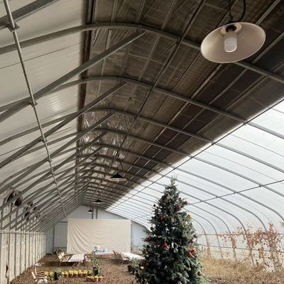 Moneda de los EE.UU. Sistema de invernadero de doble o sola capa vegetal con luz solar dentro del presupuesto