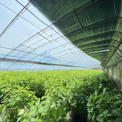 Plantación de flores Sistema de riego por goteo Invernadero de luz solar con solicitud personalizada