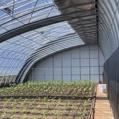 Plantación de flores Sistema de riego por goteo Invernadero de luz solar con solicitud personalizada
