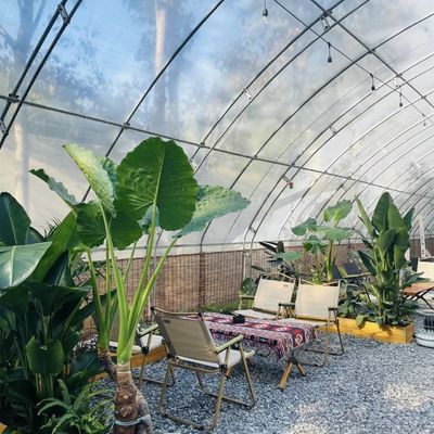 Plantación de flores Sistema de riego por goteo Invernadero de luz solar con solicitud personalizada