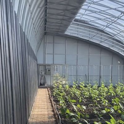 Esparcimiento Irrigación Siembra Luz solar Invernadero US 20 / metro cuadrado con personalización