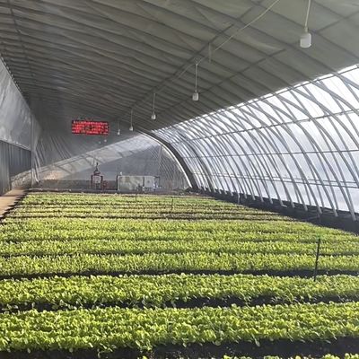 Esparcimiento Irrigación Siembra Luz solar Invernadero US 20 / metro cuadrado con personalización