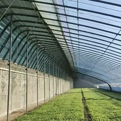 Sistema de cultivo hidropónico acuapónico de múltiples períodos para la moneda estadounidense en invernadero de luz solar