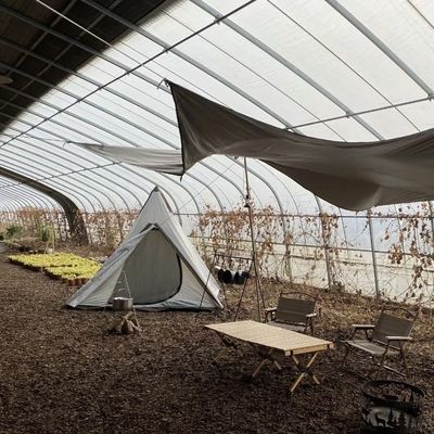 Sistema de cultivo hidropónico acuapónico de múltiples períodos para la moneda estadounidense en invernadero de luz solar