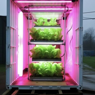Invernadero de contenedor de control de temperatura inteligente para cultivo sin suelo JX-A0096