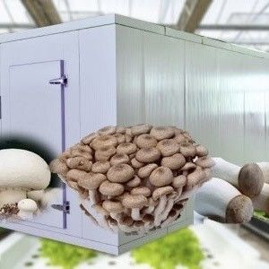 Transforme su operación agrícola con verduras de hoja Reefer Container invernadero