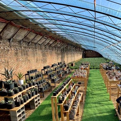 Invernadero de luz solar para la plantación de flores de origen Paquete tamaño 50,00cm * 60,00cm * 50,00cm