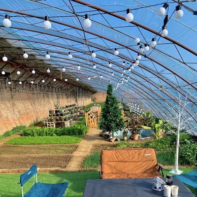 Invernadero de luz solar para la plantación de flores de origen Paquete tamaño 50,00cm * 60,00cm * 50,00cm