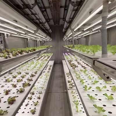 Material de cubierta de acero Contenedor de carga Invernadero para verduras Personalización personalizada