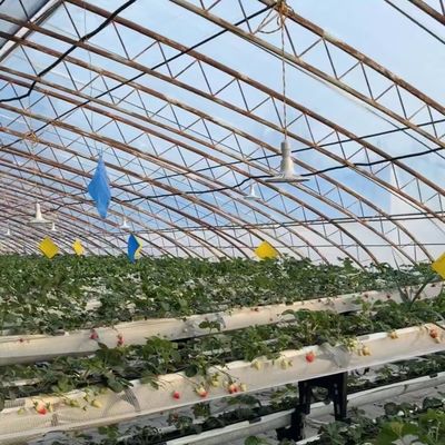 Costo de envío y plazo de entrega estimado para invernadero de siembra hidropónica comercial