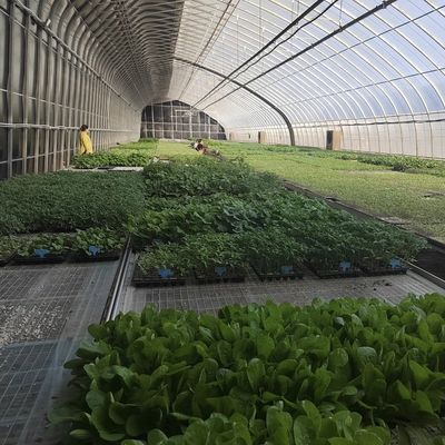La acuicultura se hace más fácil con semillas reproducción luz solar invernadero 30 días devolución reembolsos