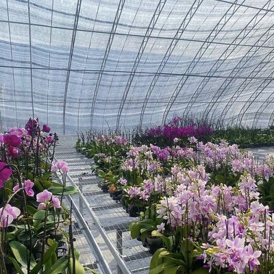 La acuicultura se hace más fácil con semillas reproducción luz solar invernadero 30 días devolución reembolsos