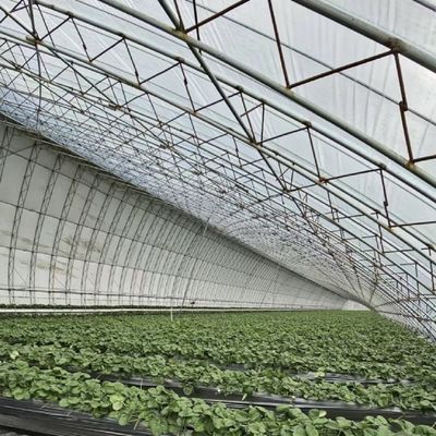 La acuicultura se hace más fácil con semillas reproducción luz solar invernadero 30 días devolución reembolsos