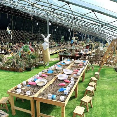 EE.UU. 20 metros cuadrados de hidroponía invernadero con luz solar para flores de fresa vegetal
