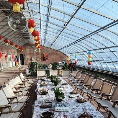 EE.UU. 20 metros cuadrados de hidroponía invernadero con luz solar para flores de fresa vegetal