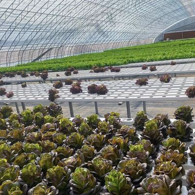 Paquete Peso bruto 100.000 kg Iluminación solar de invernadero Riego por goteo para la plantación de flores