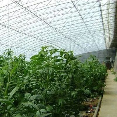 Sistema avanzado de control de humedad y luz solar para vegetales en invernaderos comerciales
