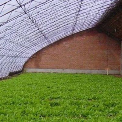 Sistema avanzado de control de humedad y luz solar para vegetales en invernaderos comerciales