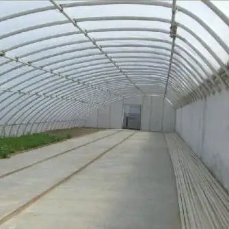 Invernadero de luz solar controlada por humedad para el cultivo de pepinos de tomate grandes en arena