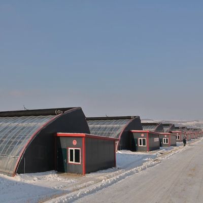 2000.000kg Peso bruto del paquete Sistema de invernadero avanzado para el cultivo de vegetales a luz solar
