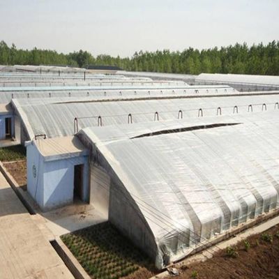 2000.000kg Peso bruto del paquete Sistema de invernadero avanzado para el cultivo de vegetales a luz solar