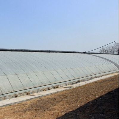 2000.000kg Peso bruto del paquete Sistema de invernadero avanzado para el cultivo de vegetales a luz solar