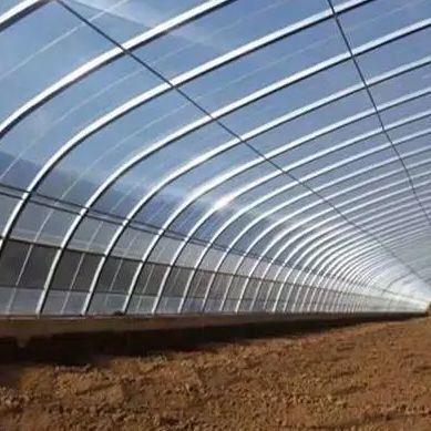 Pago completo Juxiang prime s iluminación de la luz del sol invernadero para el material de cubierta de película de tomate