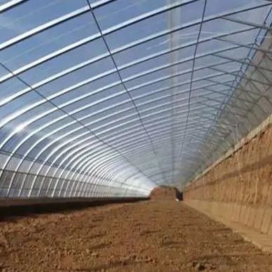 Sistema de riego y ventilación para sombrear las plantaciones de pepinos en invernaderos con luz solar