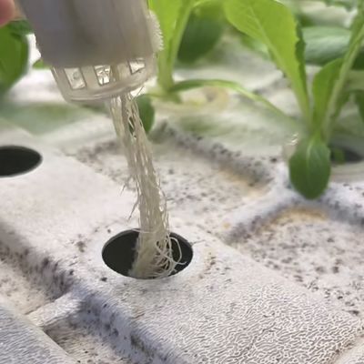 JX-A00104 Invernadero de contenedores de vegetales para el método de cultivo hidropónico