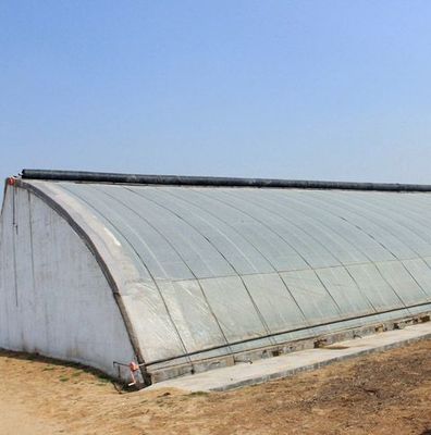 JX-SG-111 Invernadero de luz solar controlado por el clima para cultivo de vegetales de cultivo de arena