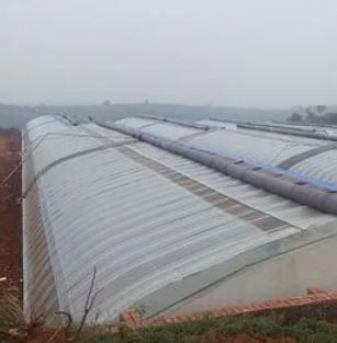 JX-SG-111 Invernadero de luz solar controlado por el clima para cultivo de vegetales de cultivo de arena