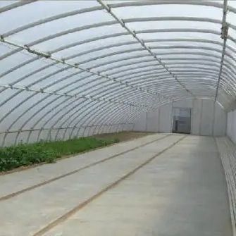 2000.000kg de cultivo de tomate y pepino Sol Sol Solución de invernadero con techo arqueado