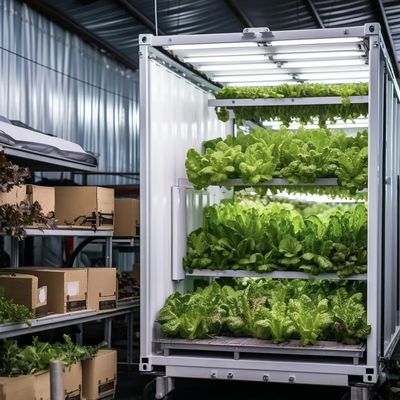 Estructura de acero de doble capa Contenedor de envío Invernadero para la plantación de verduras de hoja