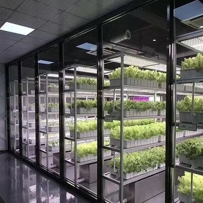 Invernadero de contenedores de reefer para vegetales de hoja Invernadero de contenedores inteligentes