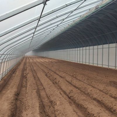 El cultivo de pepinos a gran escala se hace más fácil con invernaderos comerciales con humedad controlada