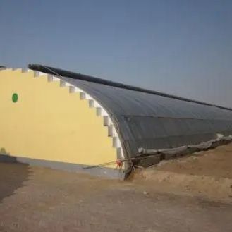 El cultivo de pepinos a gran escala se hace más fácil con invernaderos comerciales con humedad controlada