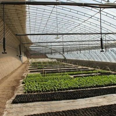 El cultivo de pepinos a gran escala se hace más fácil con invernaderos comerciales con humedad controlada