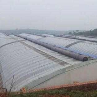 Invernadero hidropónico comercial para la plantación de pepinos Método de calefacción calefacción temporal