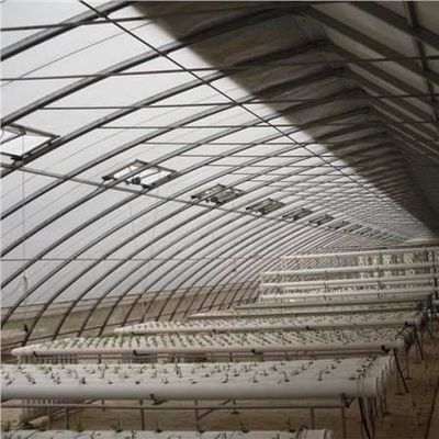Cultivo de hortalizas avanzadas Invernadero de luz solar 40HQ Contenedor Reefer para superior