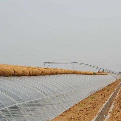 Cultivo de hortalizas avanzadas Invernadero de luz solar 40HQ Contenedor Reefer para superior