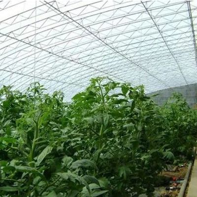 Solución de invernadero de luz solar con producción