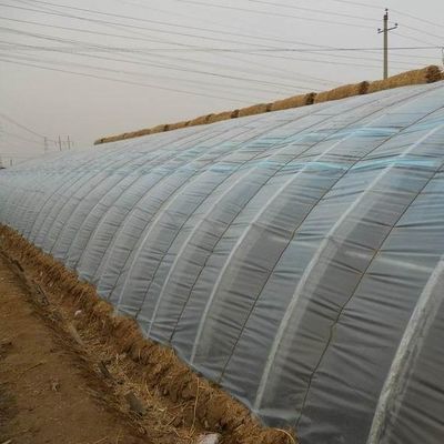 Solución de invernadero de luz solar con producción