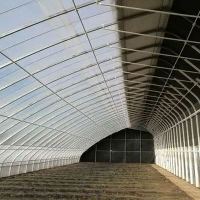 Solución de invernadero de luz solar con producción