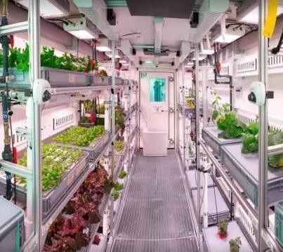 Sistema hidropónico de estructura de acero Contenedor de invernadero para la solución de cultivo vertical