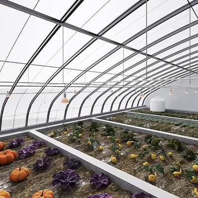 Sistema de sombreado y ventilación para el cultivo de tomates para el transporte de contenedores de 40HQ Reefer