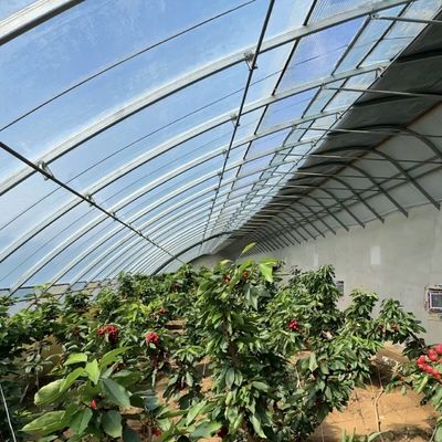 Sistema de sombreado y ventilación para el cultivo de tomates para el transporte de contenedores de 40HQ Reefer