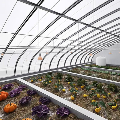 Sistema de sombreado y ventilación para el cultivo de tomates para el transporte de contenedores de 40HQ Reefer