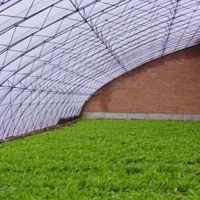 Sistema de sombreado y ventilación para el cultivo de tomates para el transporte de contenedores de 40HQ Reefer