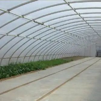 Sistema de sombreado y ventilación para el cultivo de tomates para el transporte de contenedores de 40HQ Reefer